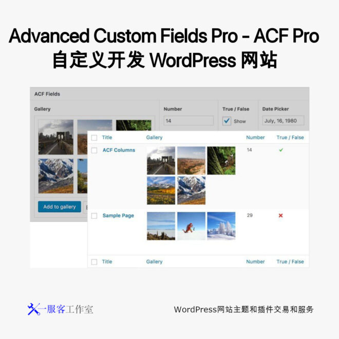 Advanced Custom Fields Pro - ACF Pro 自定义开发 WordPress 网站