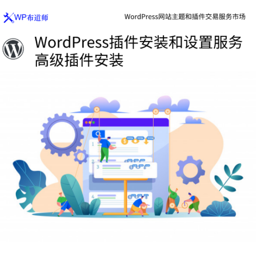 WordPress插件安装和设置服务 高级插件安装