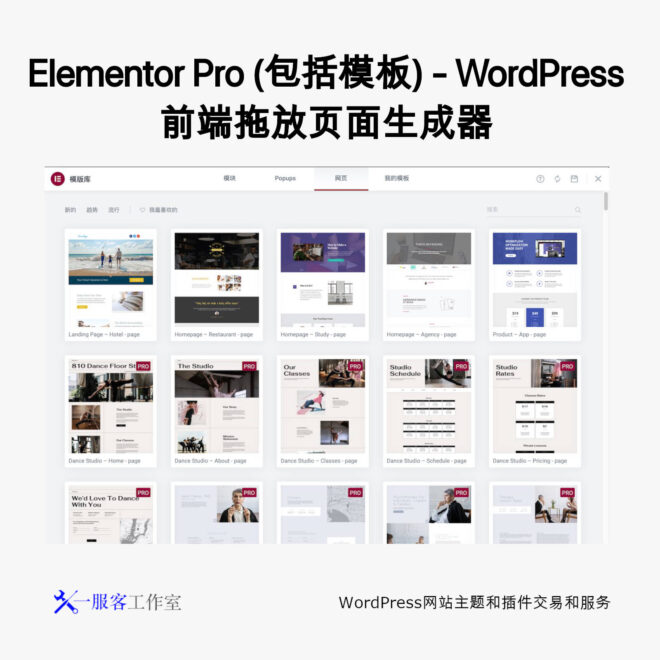 Elementor Pro (包括模板)- WordPress 前端拖放页面生成器