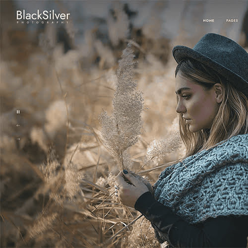 Blacksilver Photography 摄影主题专为专业摄影师而设计。它采用简约而有吸引力的设计方法，因此您的照片始终位于中心。 Blacksilver Photography 摄影主题采用全屏幻灯片、作品集、校对、活动、博客和登录页面的页面布局构建。