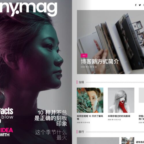 Anymag Magazine Style WordPress Blog 杂志风格博客主题