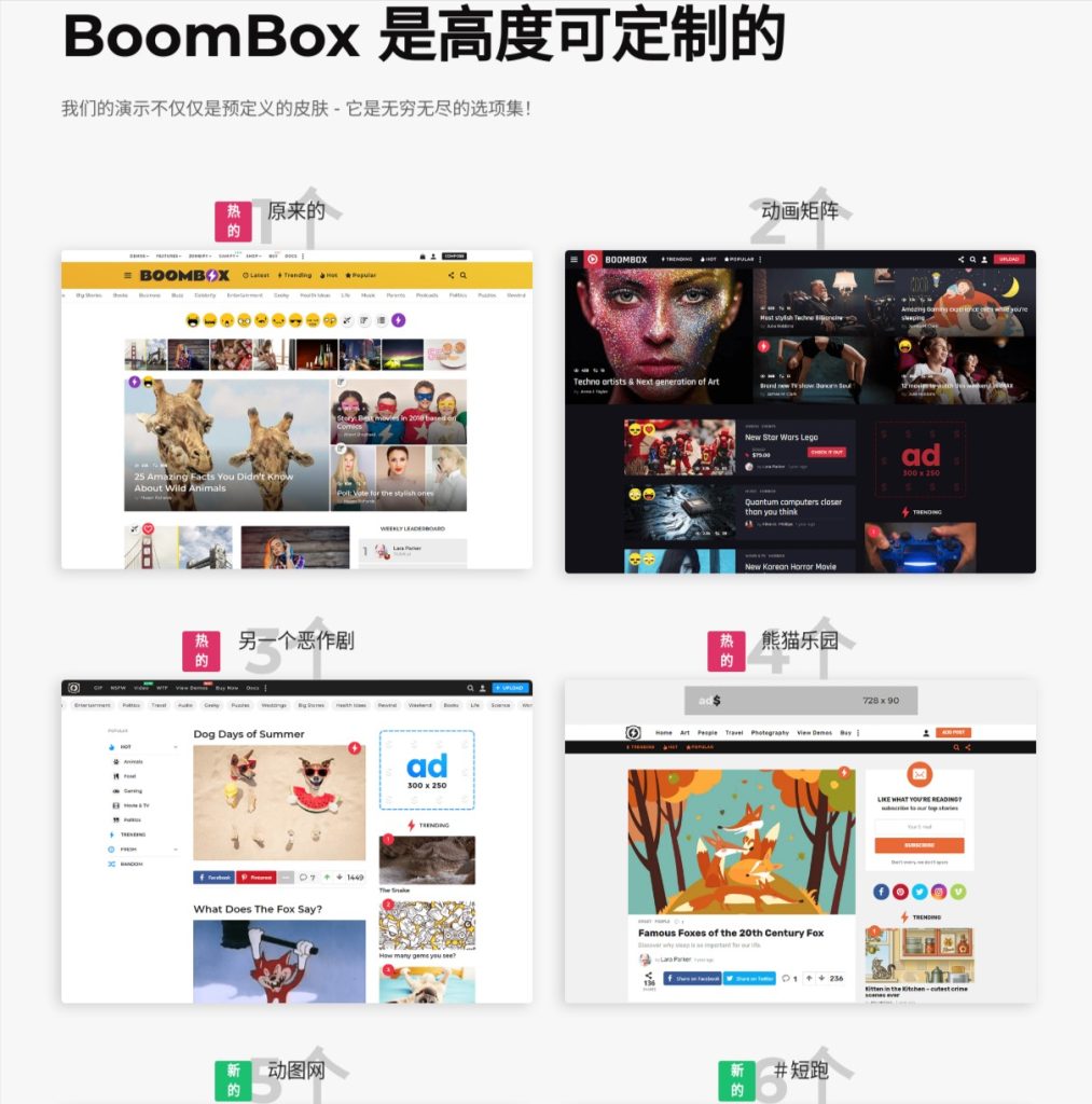 BoomBox主题 - 病毒式杂志WordPress网站截图