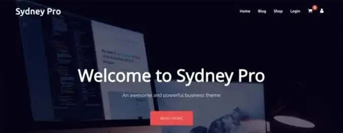 悉尼最佳 WordPress 主题
