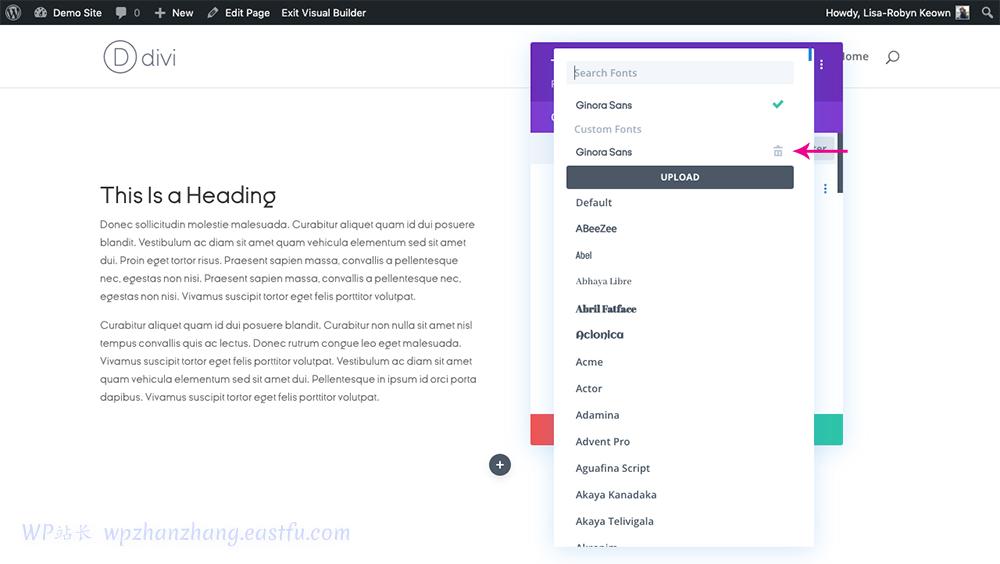 如何将自定义字体添加到您的WordPress和Divi网站 14 使用 Divi Builder 添加自定义 Divi 字体