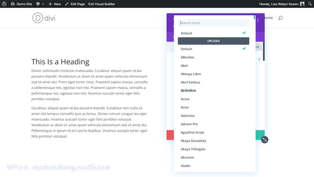 如何将自定义字体添加到您的WordPress和Divi网站 8 使用 Divi Builder 添加自定义 Divi 字体
