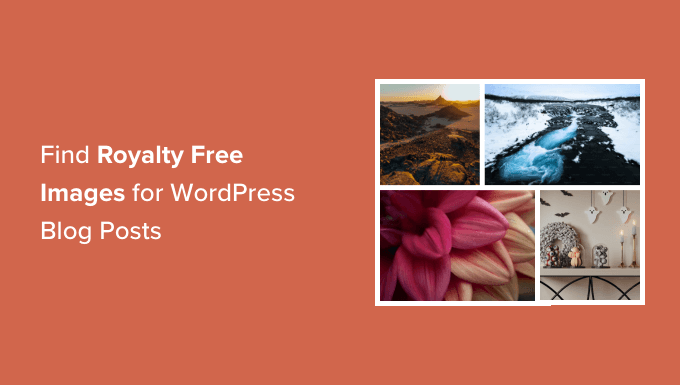 查找适合您的 WordPress 博客文章的免版税图片 如何为您的WordPress博客文章找到免版税图片