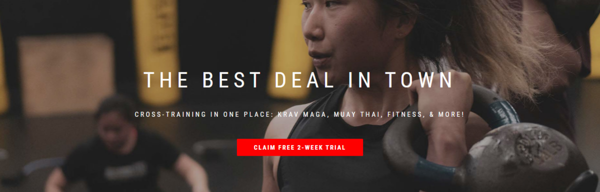 10个优秀的wordPress成品网站以及它们实际使用的主题