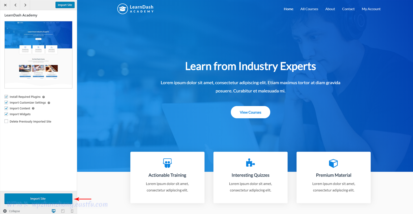 只需几次点击即可创建一个Astra和LearnDash在线教育网站 - 简单快捷! 7 导入 Learndash 网站