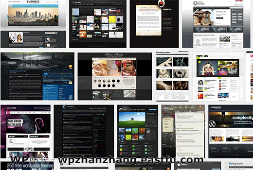 丰富的WordPress Premium主题