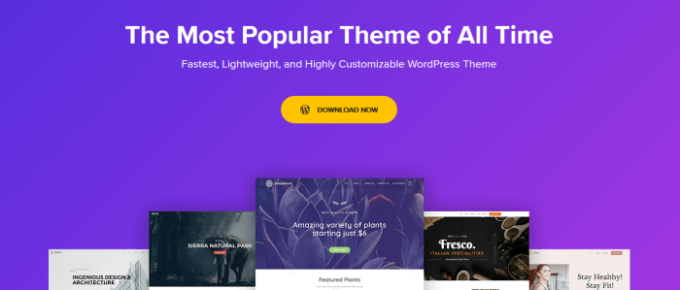 2022年您应该考虑使用的最佳WordPress主题