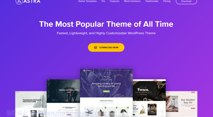 2022年您应该考虑使用的最佳WordPress主题