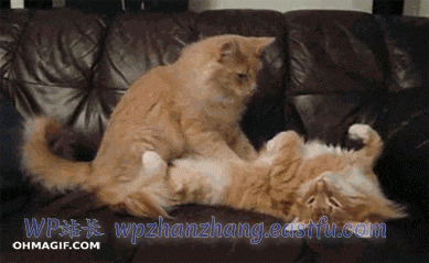 伟大的内容个性化以人为本