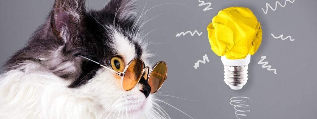 25个很棒的会员网站创意(以及2024年的新兴趋势)