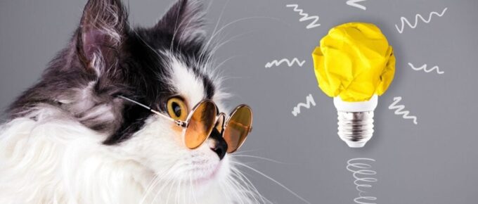 25个很棒的会员网站创意(以及2024年的新兴趋势)