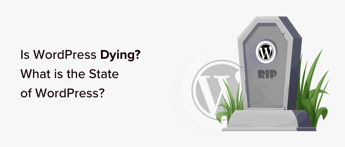 WordPress正在消亡吗？2024版WordPress现状