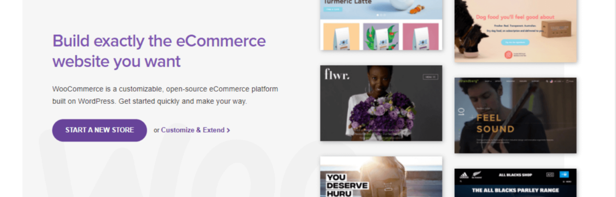 WooCommerce企业级电子商务需要了解的事情