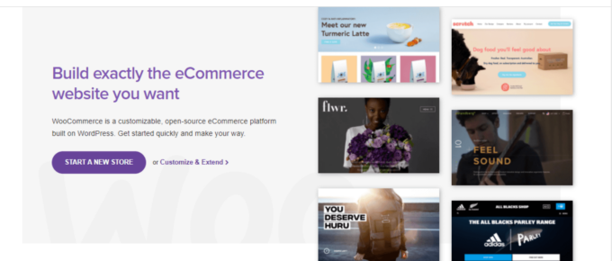 WooCommerce企业级电子商务需要了解的事情