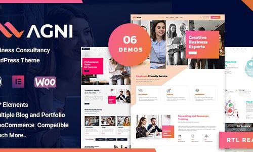 如何创建WordPress网站产品目录 7 Agni 1.2.1 – Consulting Business – 咨询业务主题_image
