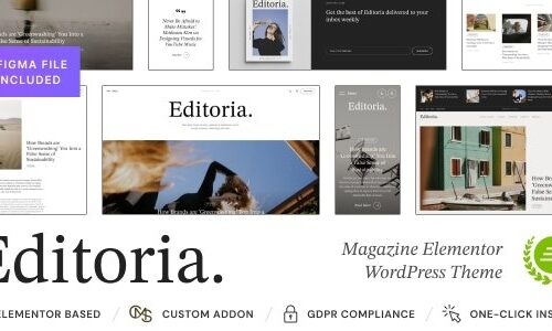 Editoria 1.2.2 – Newspaper & Magazine WordPress Theme – 新闻门户与杂志主题_image